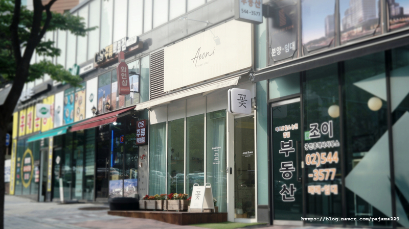 이오니플라워 이미지