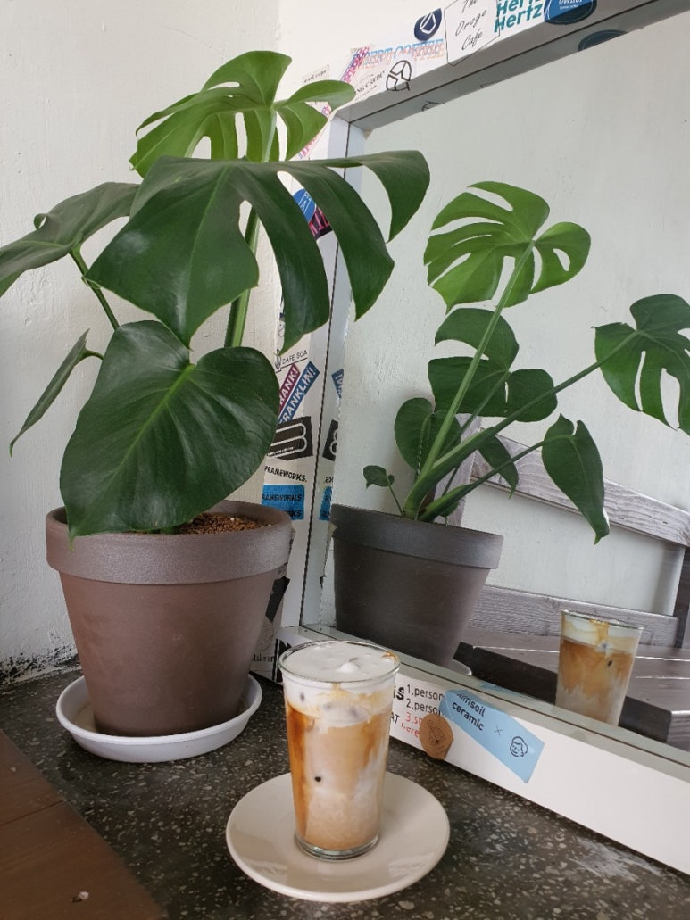 인서트커피 이미지