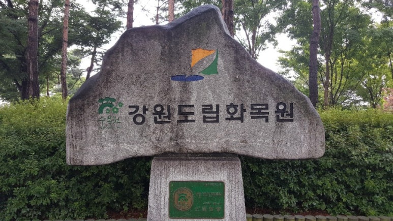 그린때때 이미지