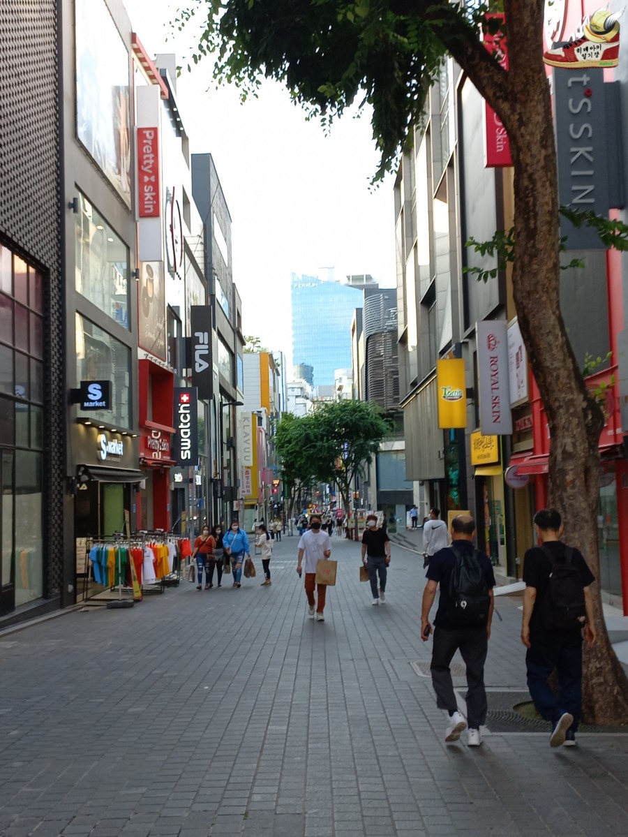 명동 이미지