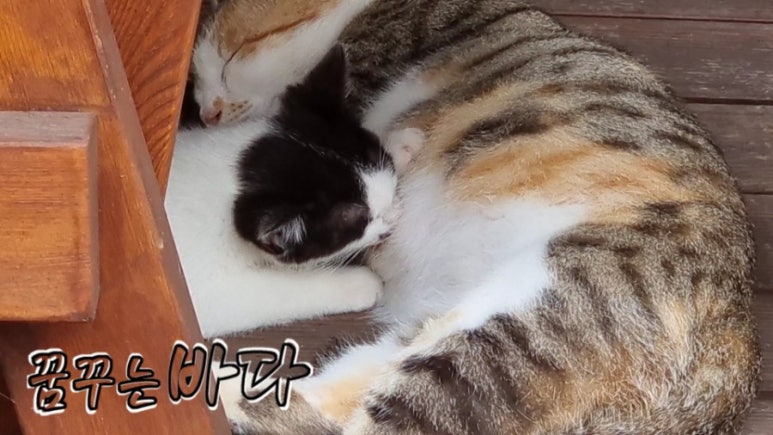 놈 놈 놈 이미지
