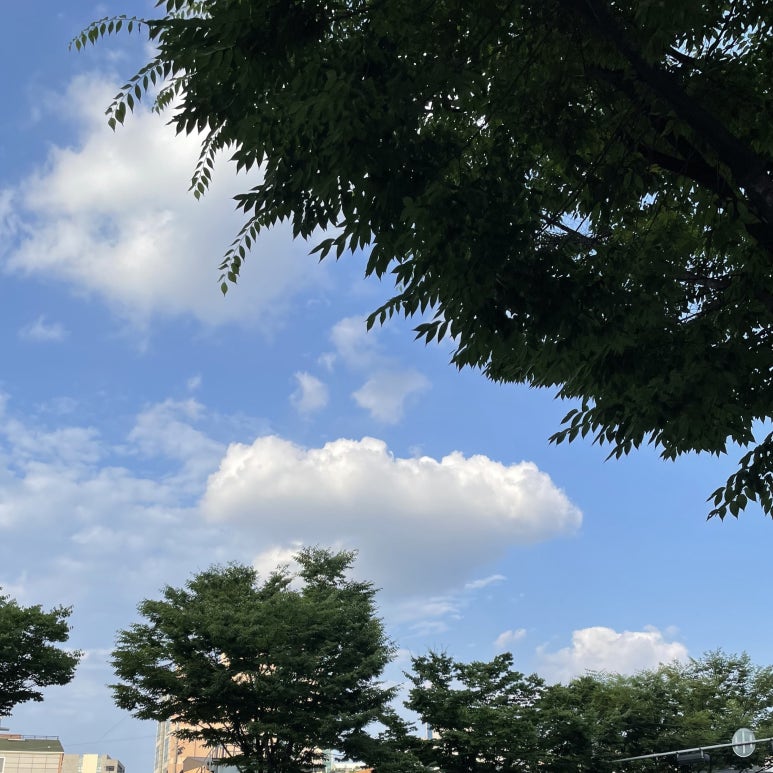 블루페퍼 안경 망원점 이미지
