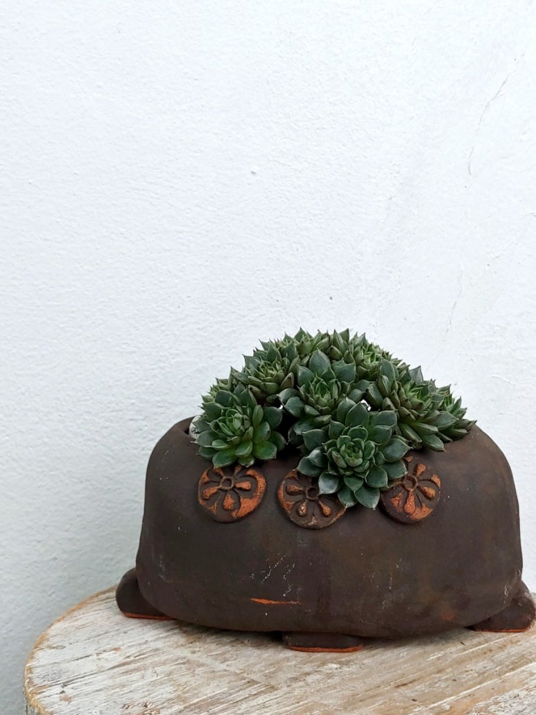 여우별 이미지