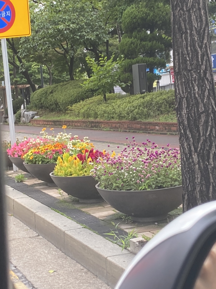 네일호디에 이미지