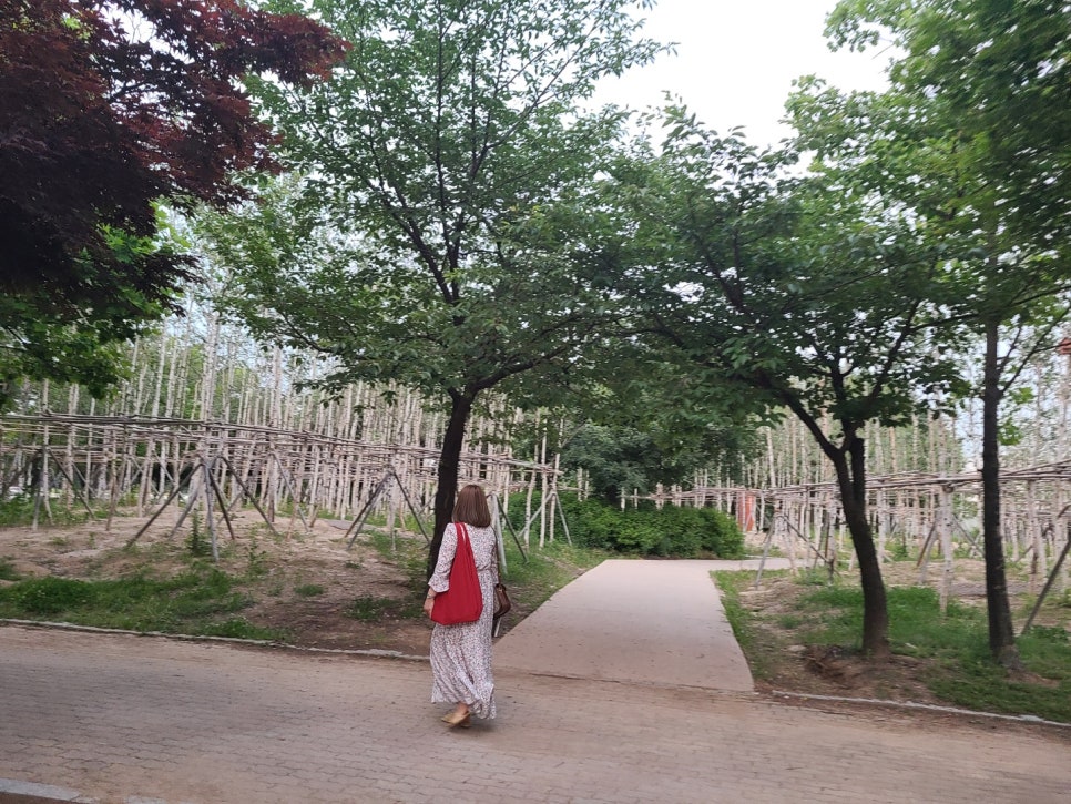 화랑유원지추어탕 이미지