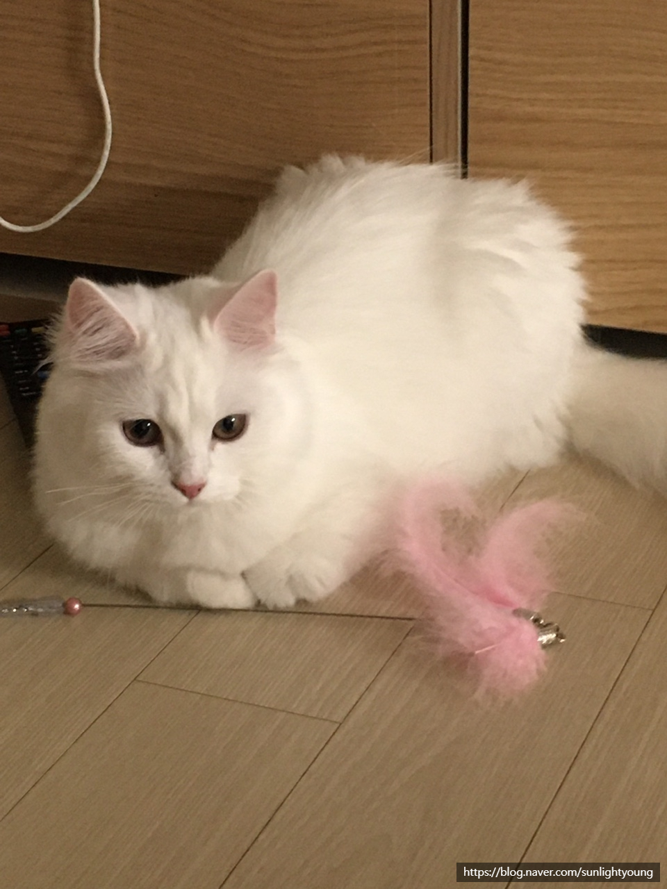 다인중화요리 이미지