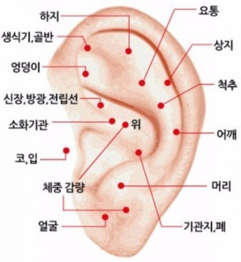 일강 이미지