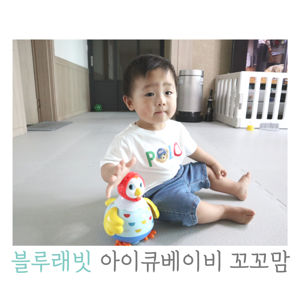 아이큐교육센터 이미지