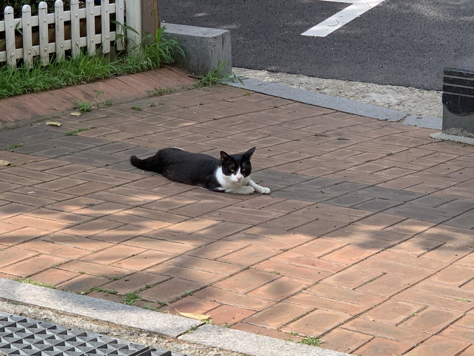 해바라기푸드 이미지