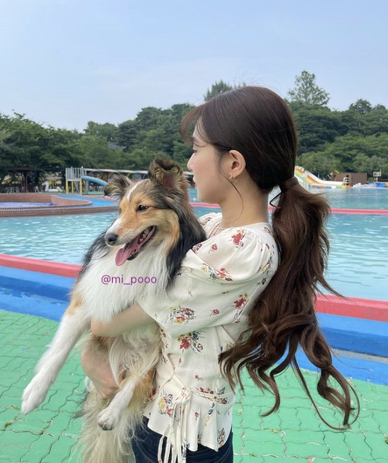 티파니플라워 이미지