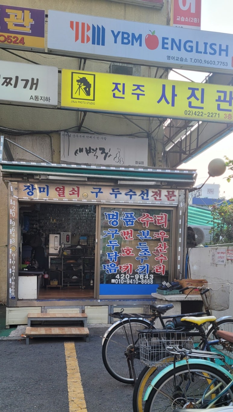 장미수선 이미지