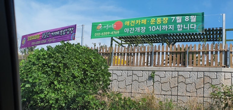 러블리독스 이미지