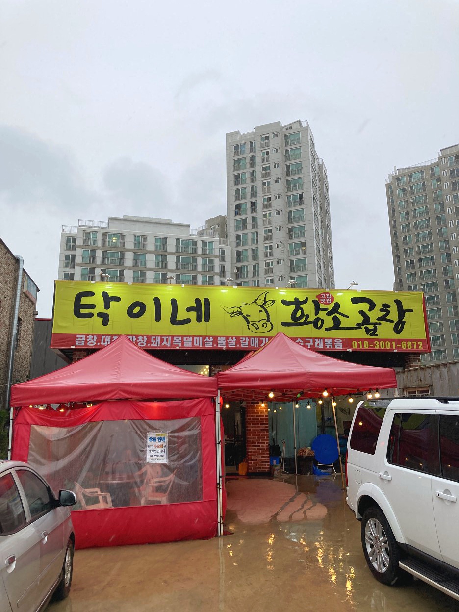 탁이네황소곱창 이미지