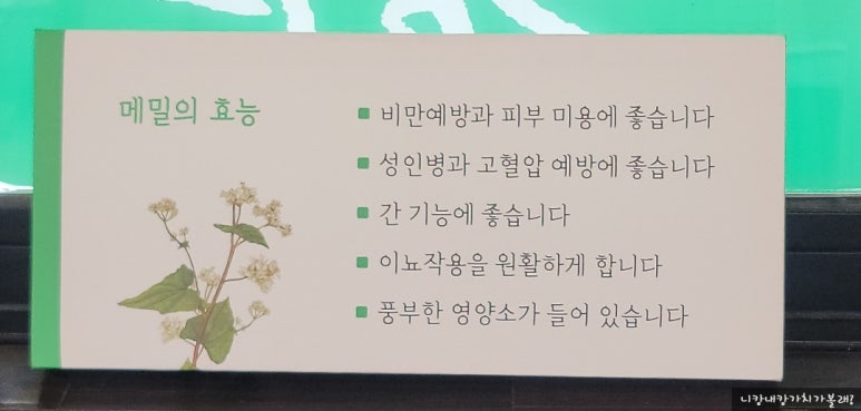 삼십육점오 이미지