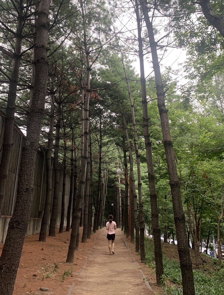 과일이오네 이미지