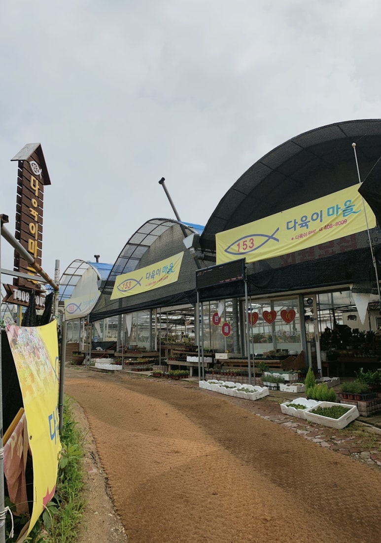 화원꽃마을 이미지