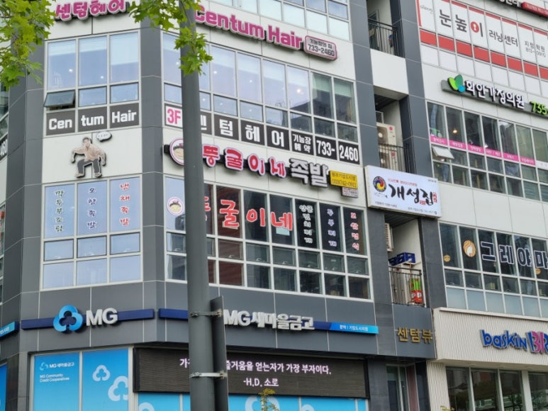 뚱굴이네 이미지