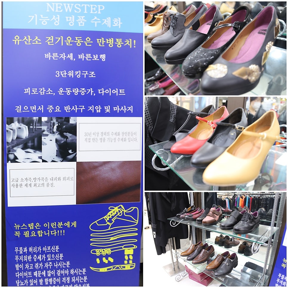 오시날개 이미지