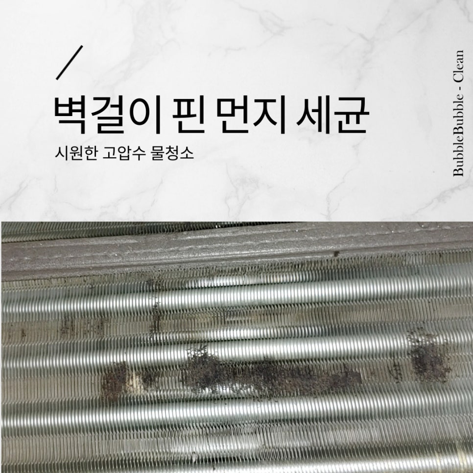 버블크린 이미지