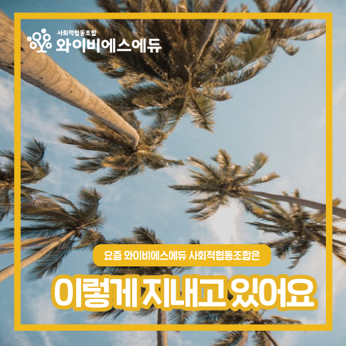 와이비에스에듀사회적협동조합 이미지
