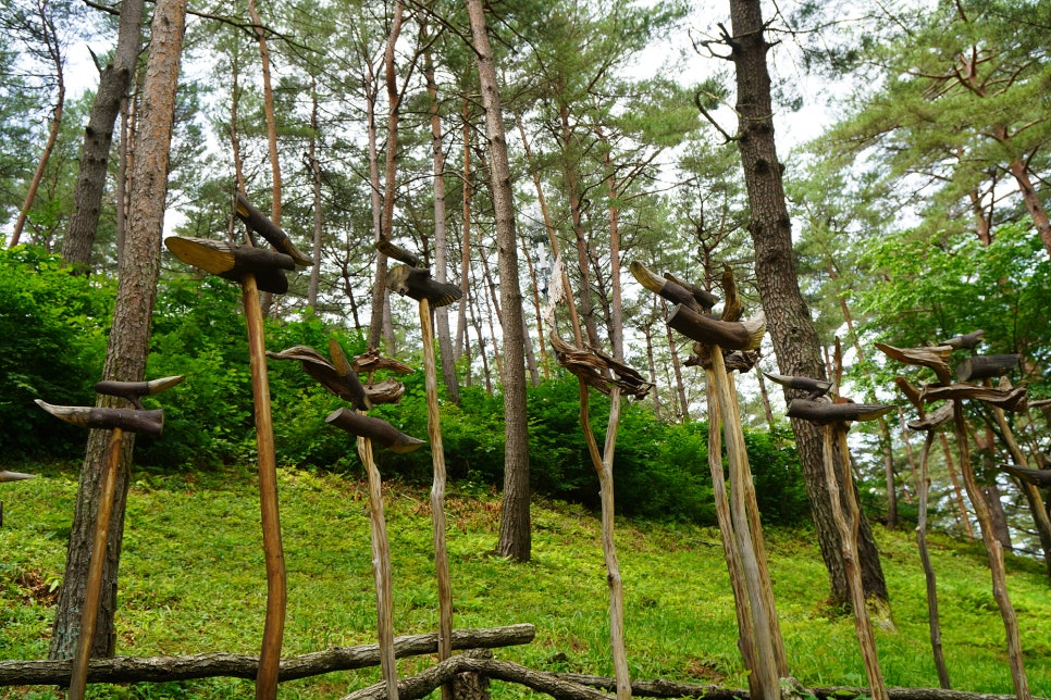 국립검마산자연휴양림 이미지