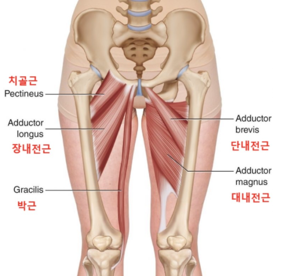 펜타핏 이미지