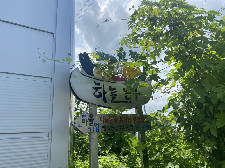법인하늘농부 이미지