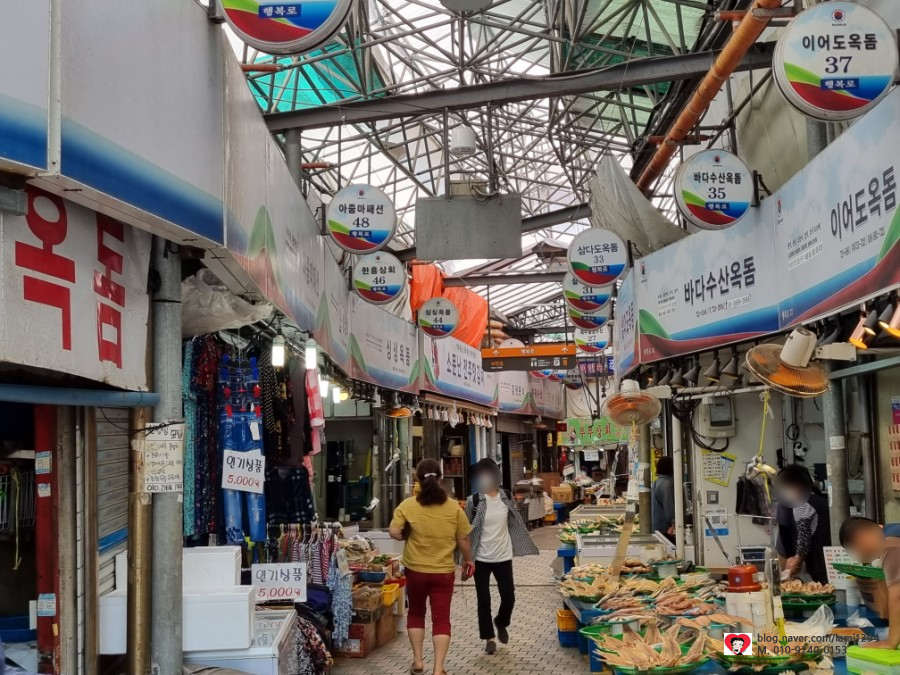 삼다도옥돔 이미지