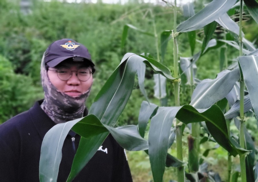 형진상회 이미지