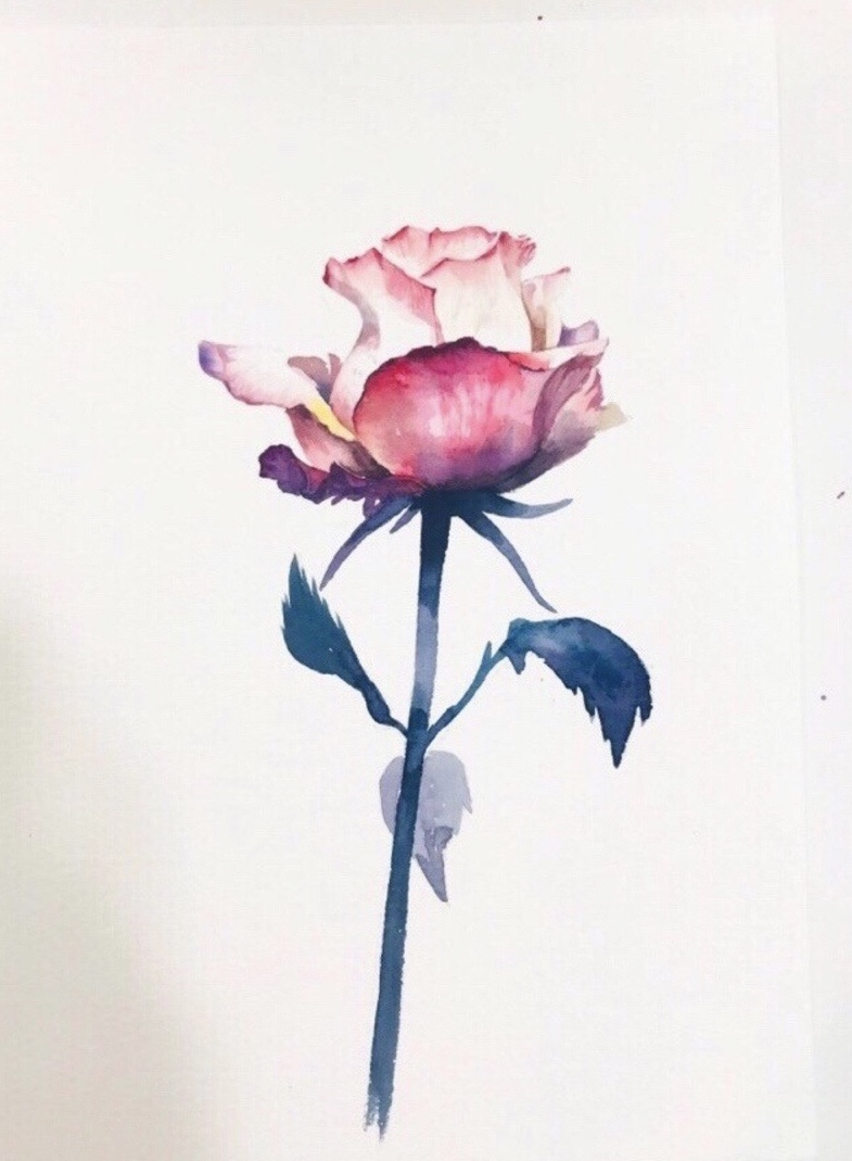 꽃마른 이미지