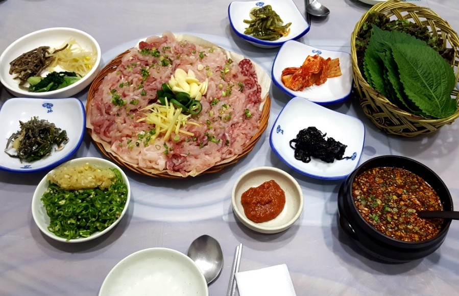 향어시대 이미지