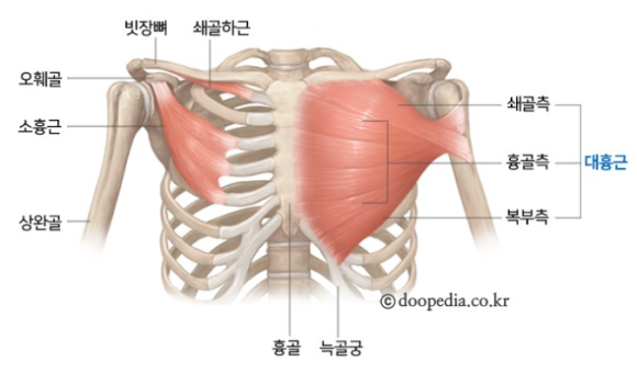 펜타핏 이미지