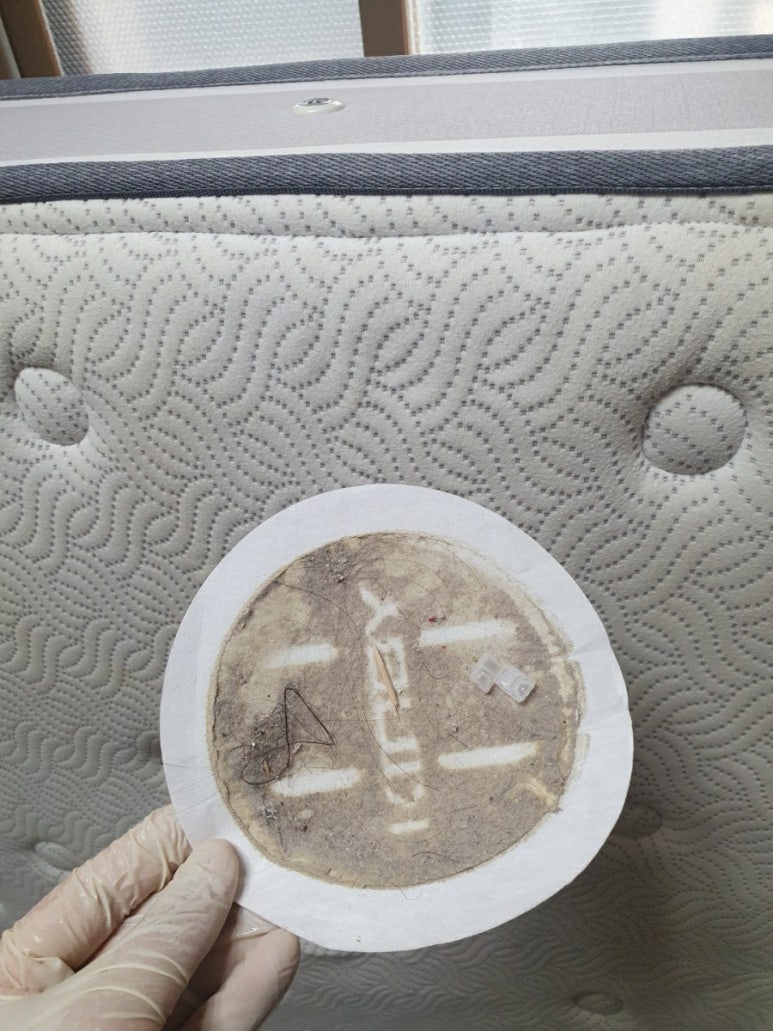 빛나라 청소 이미지