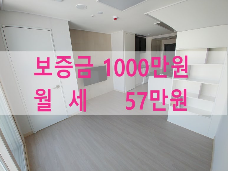 주식회사 라온베이 이미지