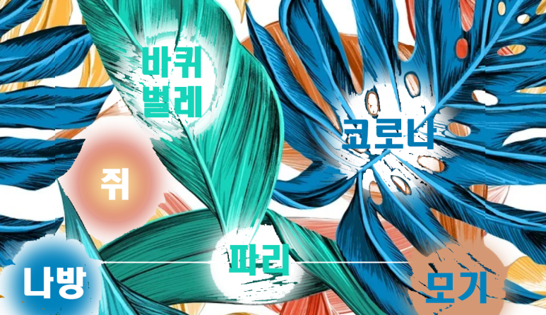 황금커피호프 이미지