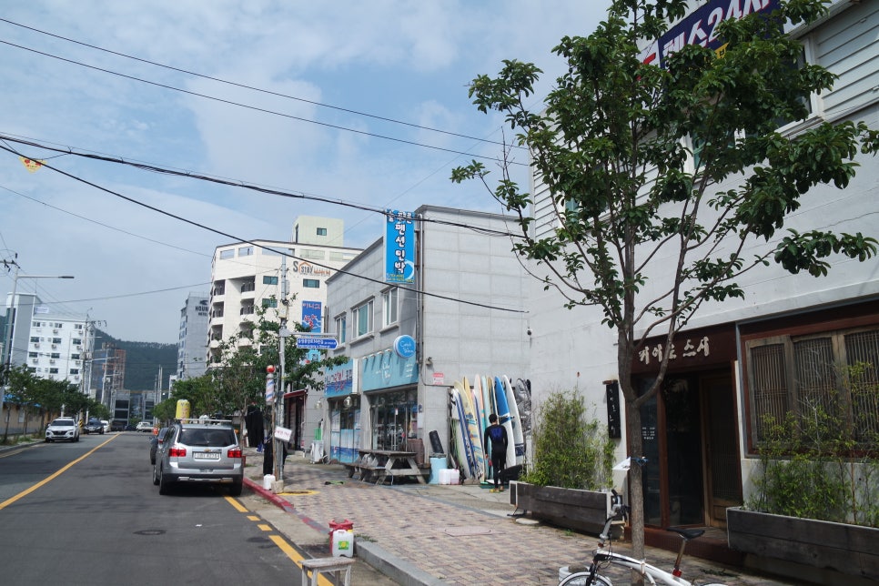 캐치웨이브 이미지
