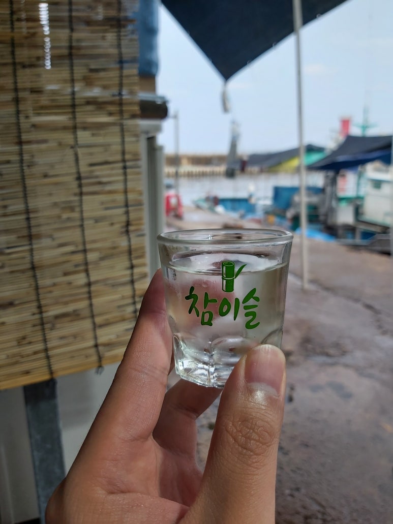양양 솔바다 캠핑장 이미지