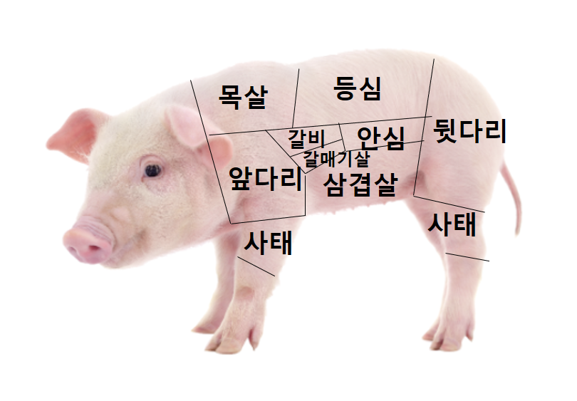 돼지복사 이미지