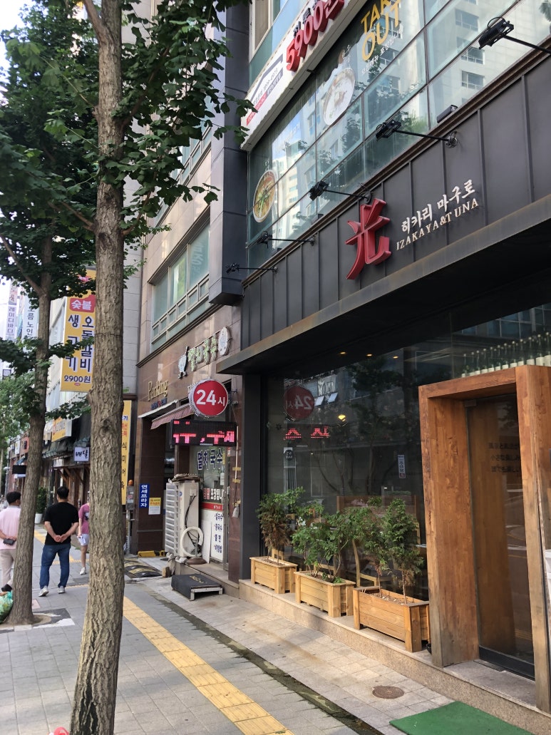 히카리마구로 이미지