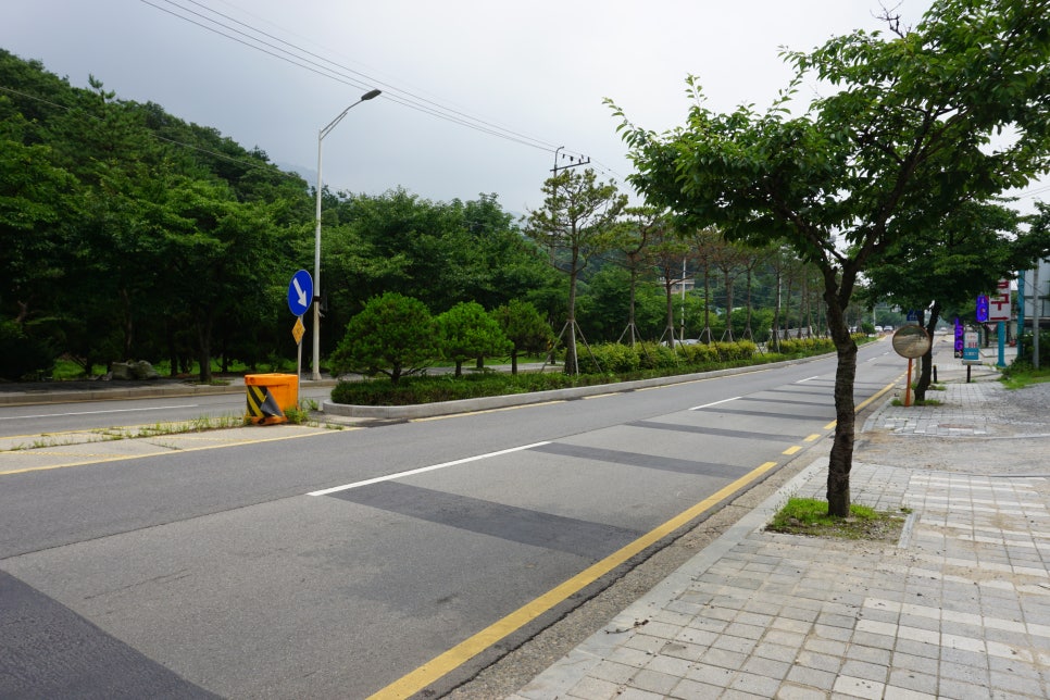 서오릉갈비찜 이미지