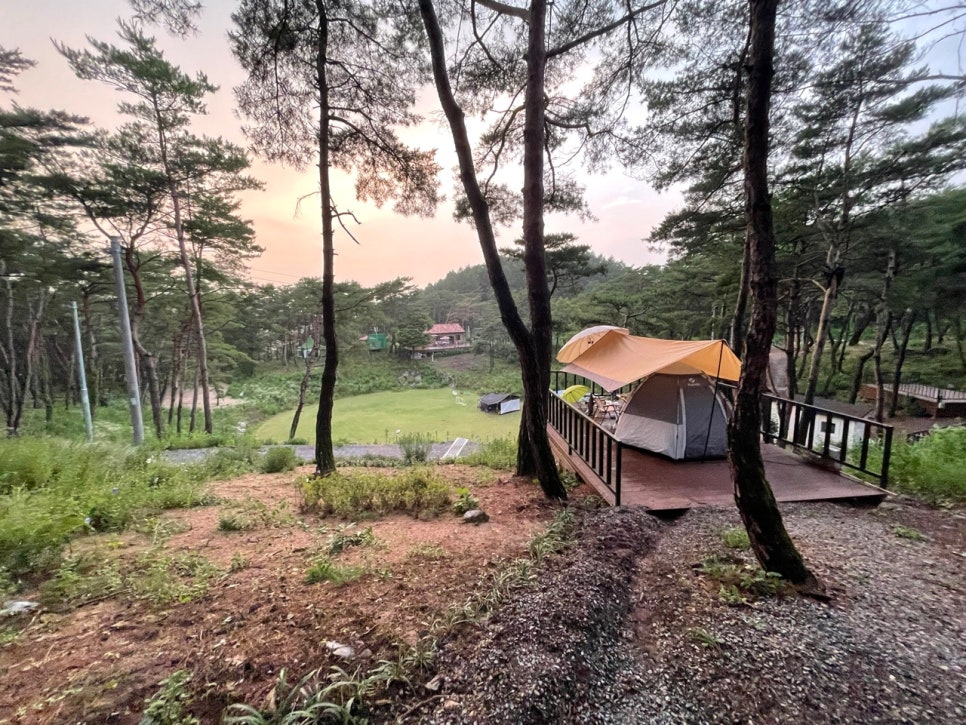 한반도솔숲쉼터 이미지