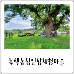 녹색농심인삼마을 이미지
