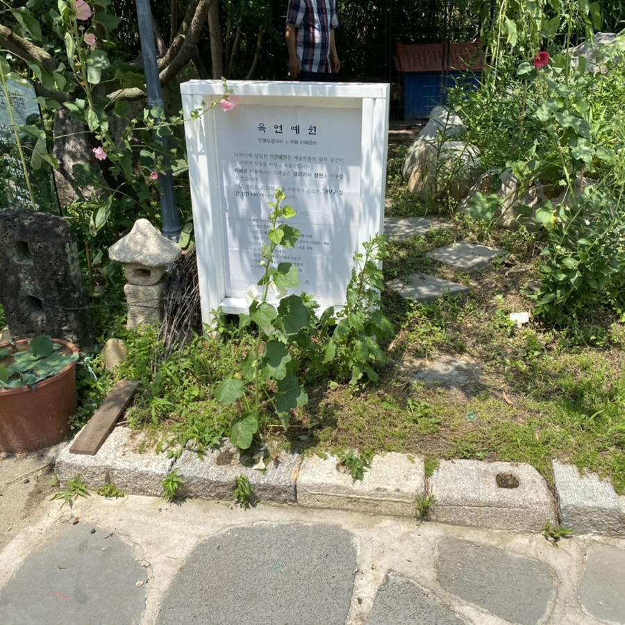 이에르바 이미지