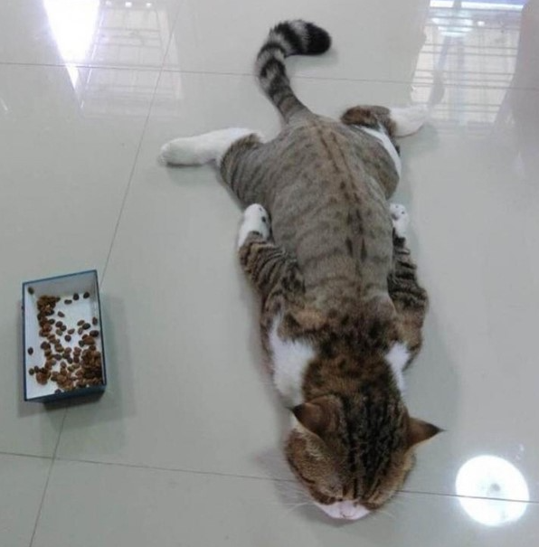 청궁 이미지