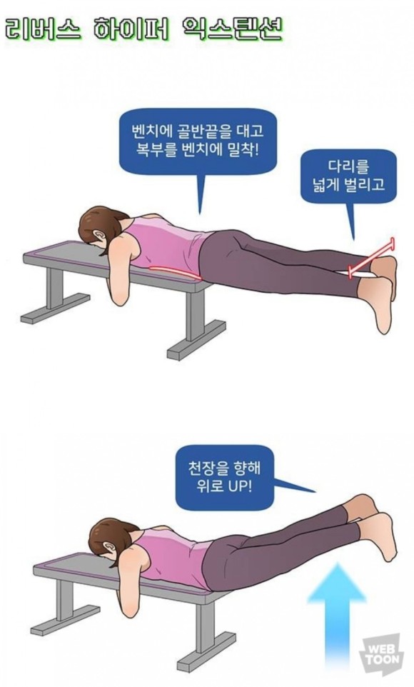 아테나휘트니스 이미지