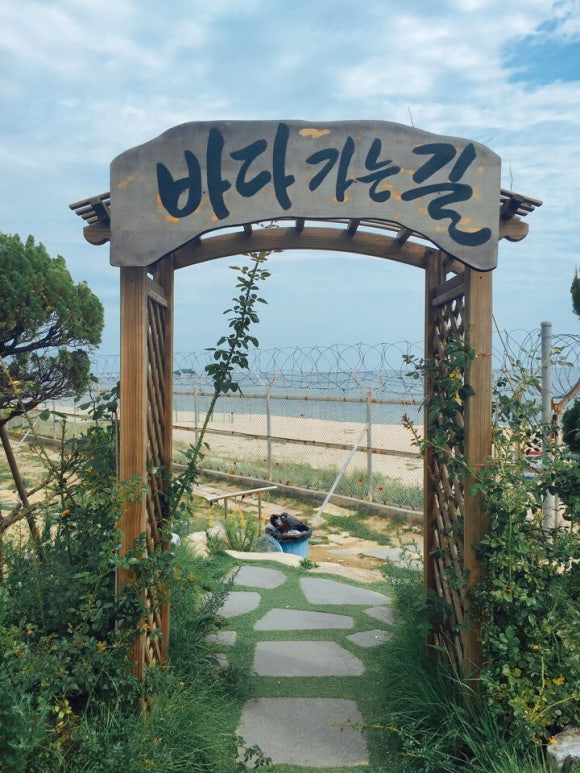 태룡 이미지