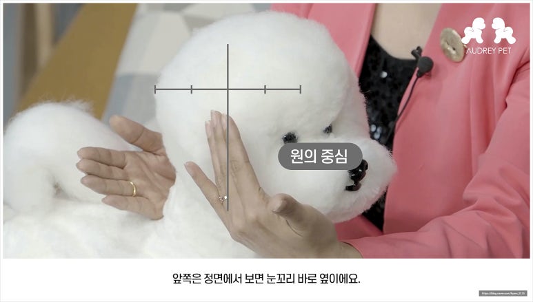오드리 이미지
