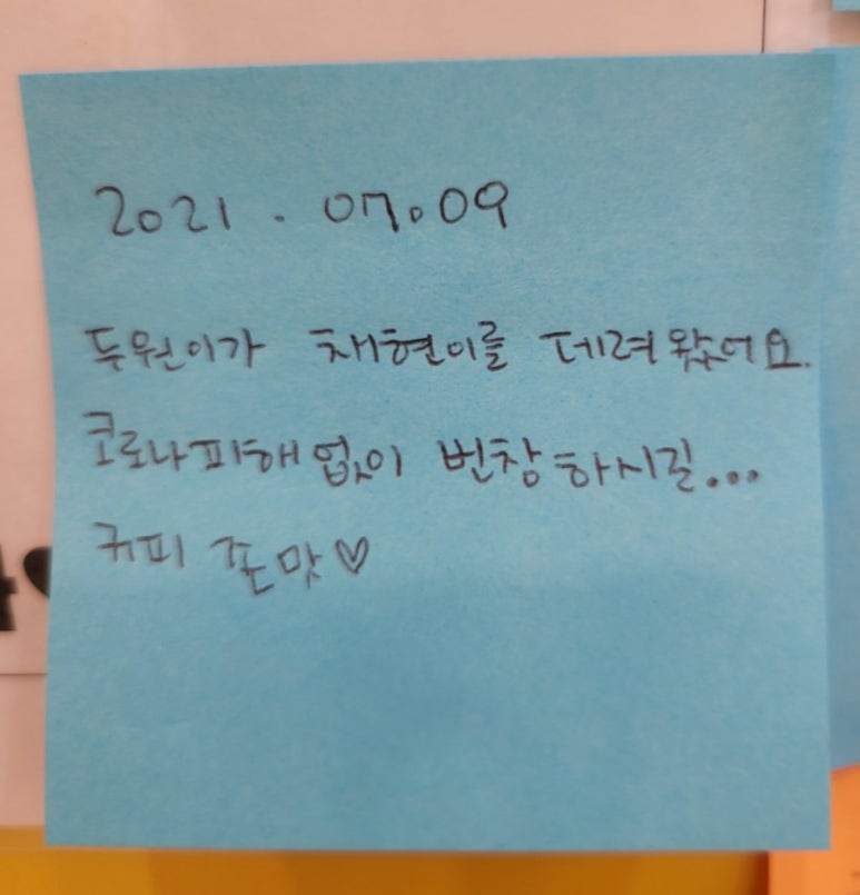 브라운빈두정 이미지