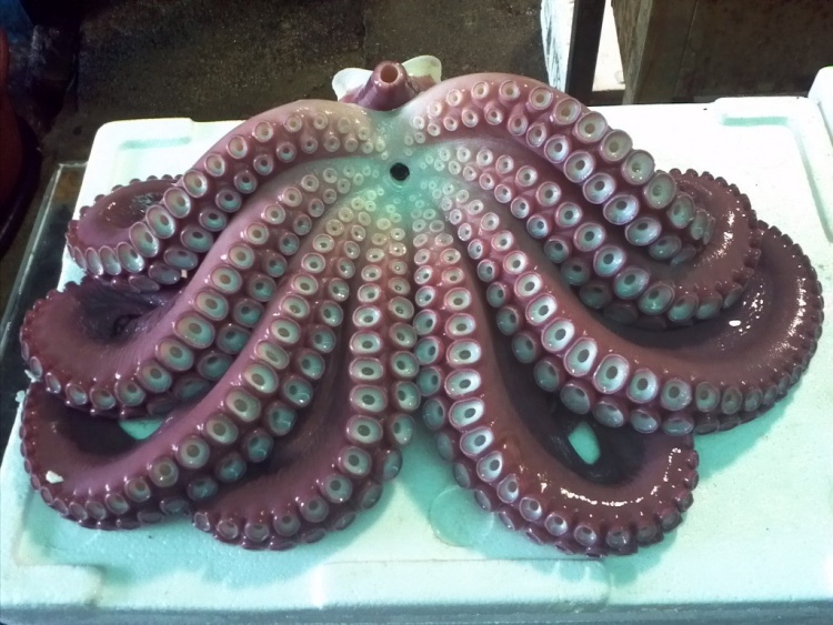 문어집 이미지