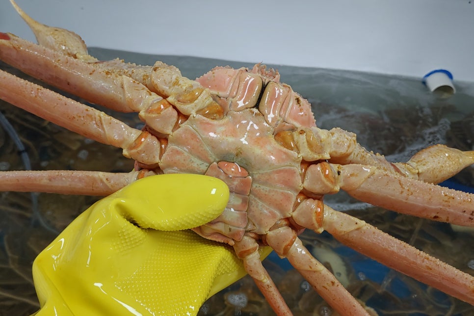 수산명가한창점 이미지